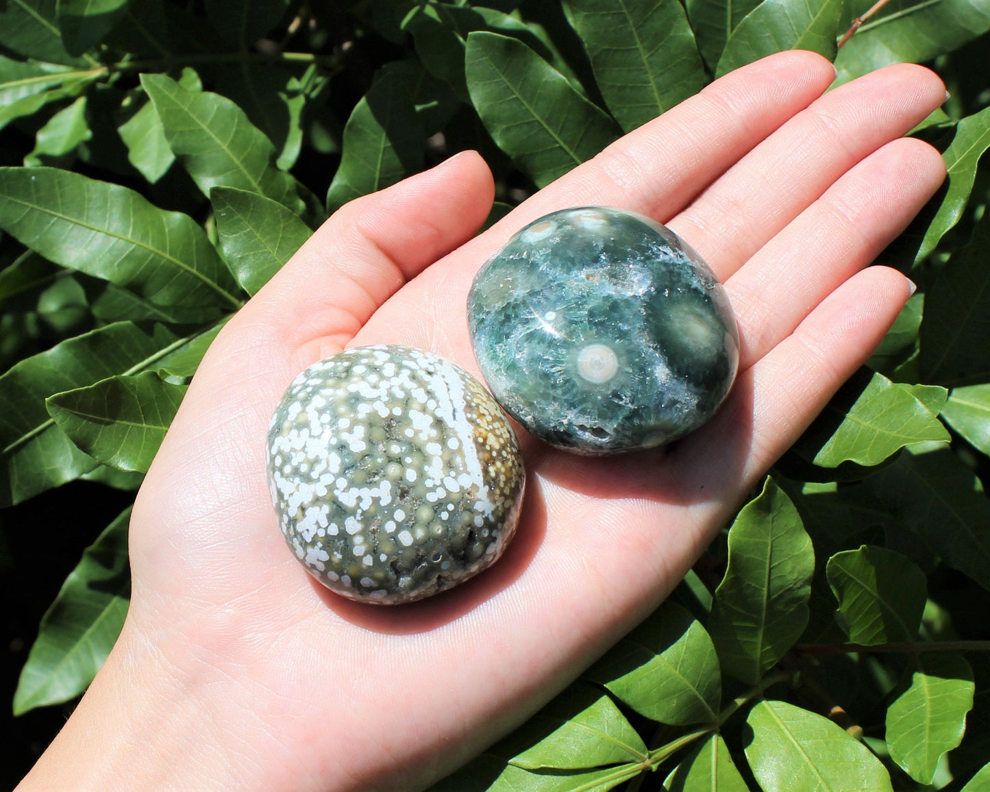 Polished Ocean Jasper Crystal