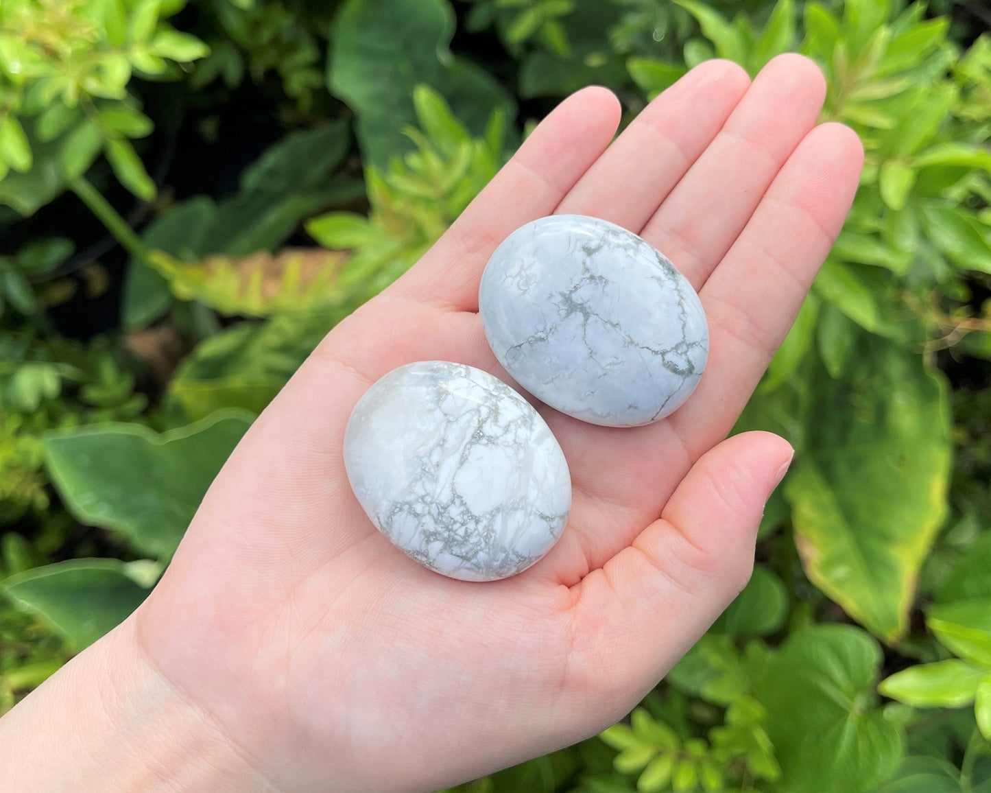 Howlite Polished Stones