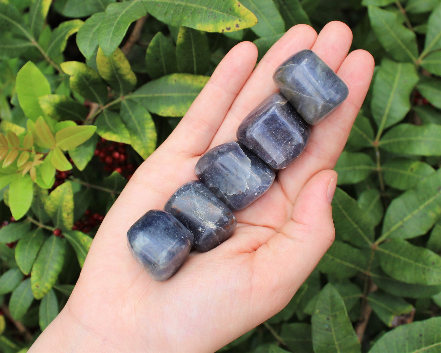 Iolite Tumbled Stones