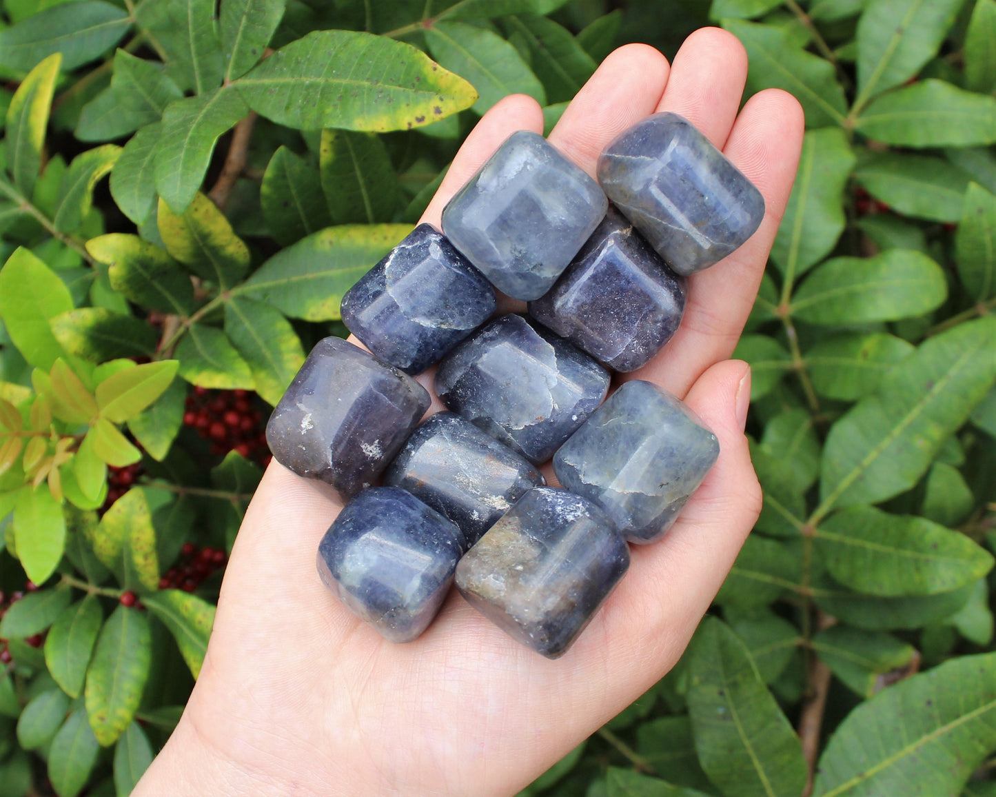 Iolite Tumbled Stones