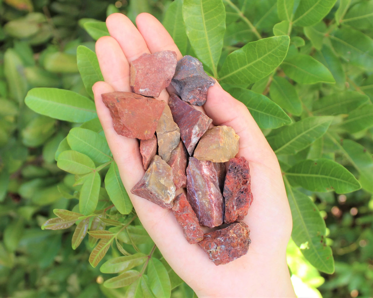 Jasper Rough Natural Chips