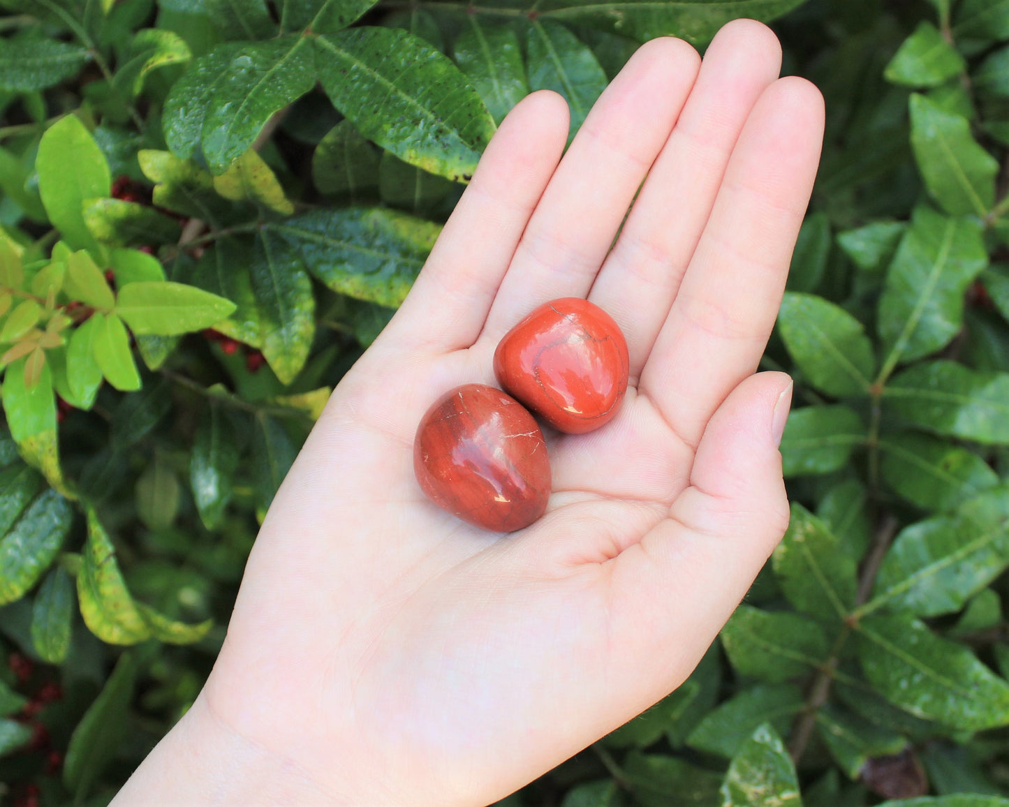 Jasper Tumbled Stones