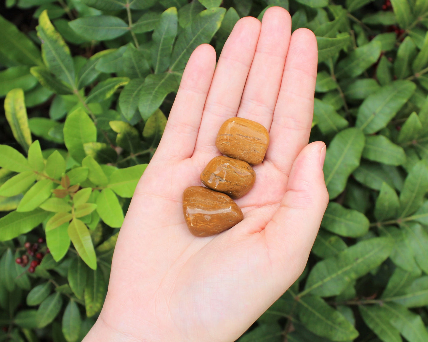 Jasper Tumbled Stones