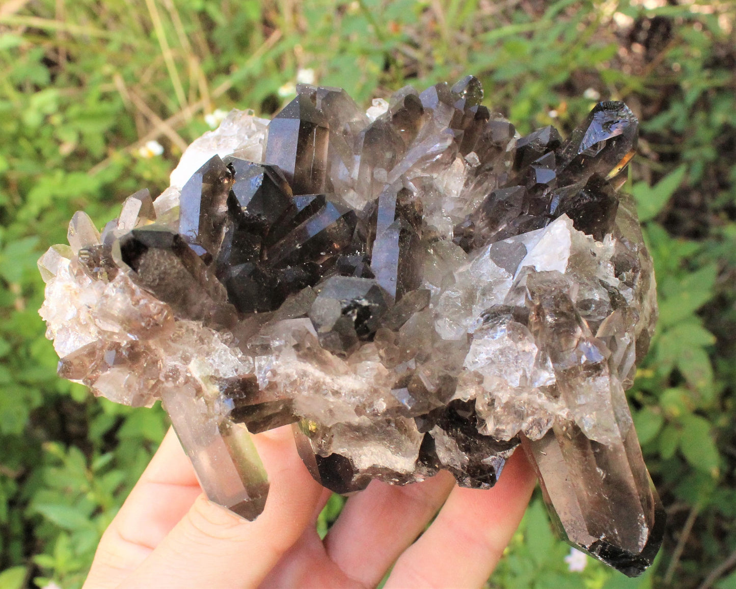 Jumbo Smoky Quartz Gemstone Specimen