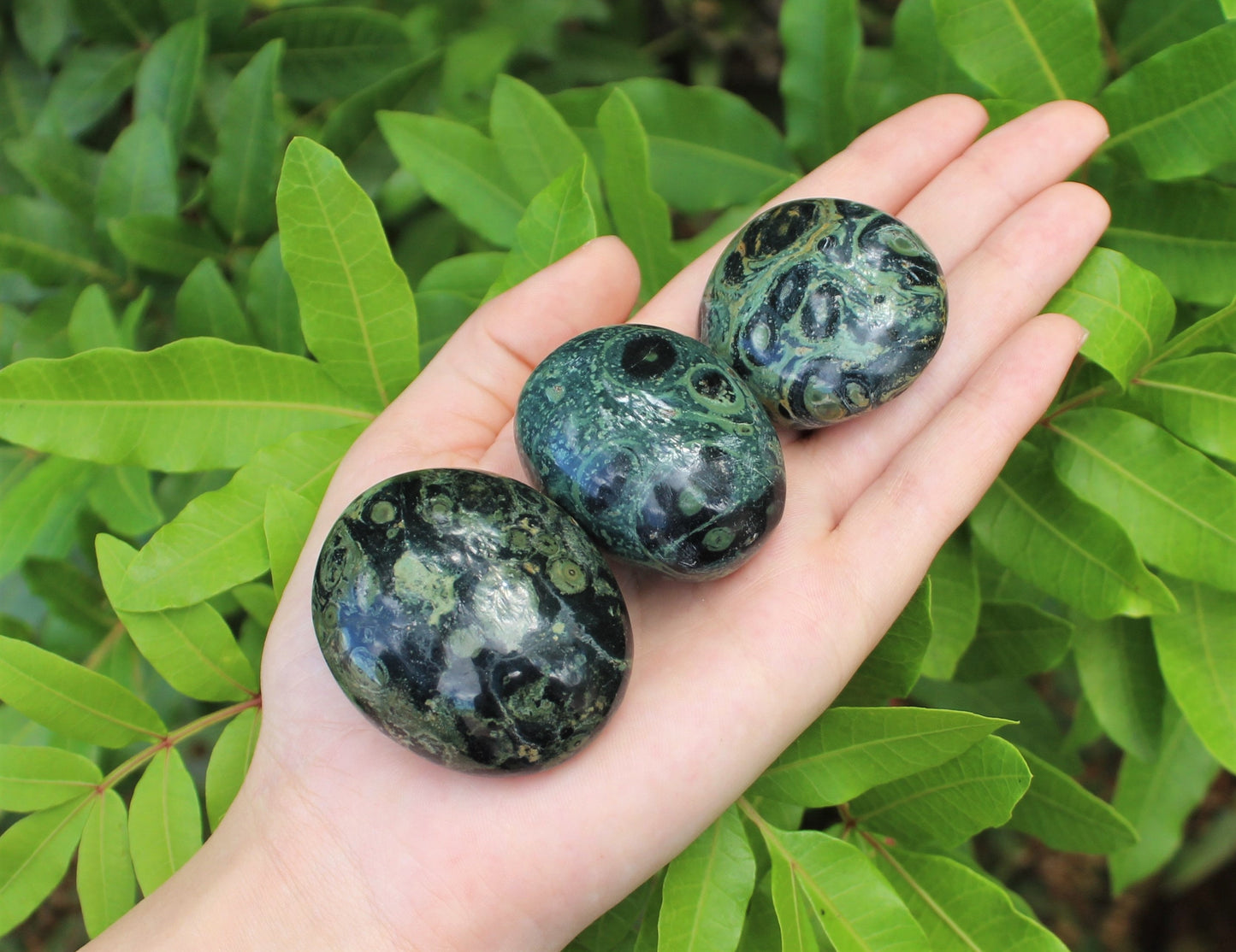 Kambaba Jasper Polished Stones