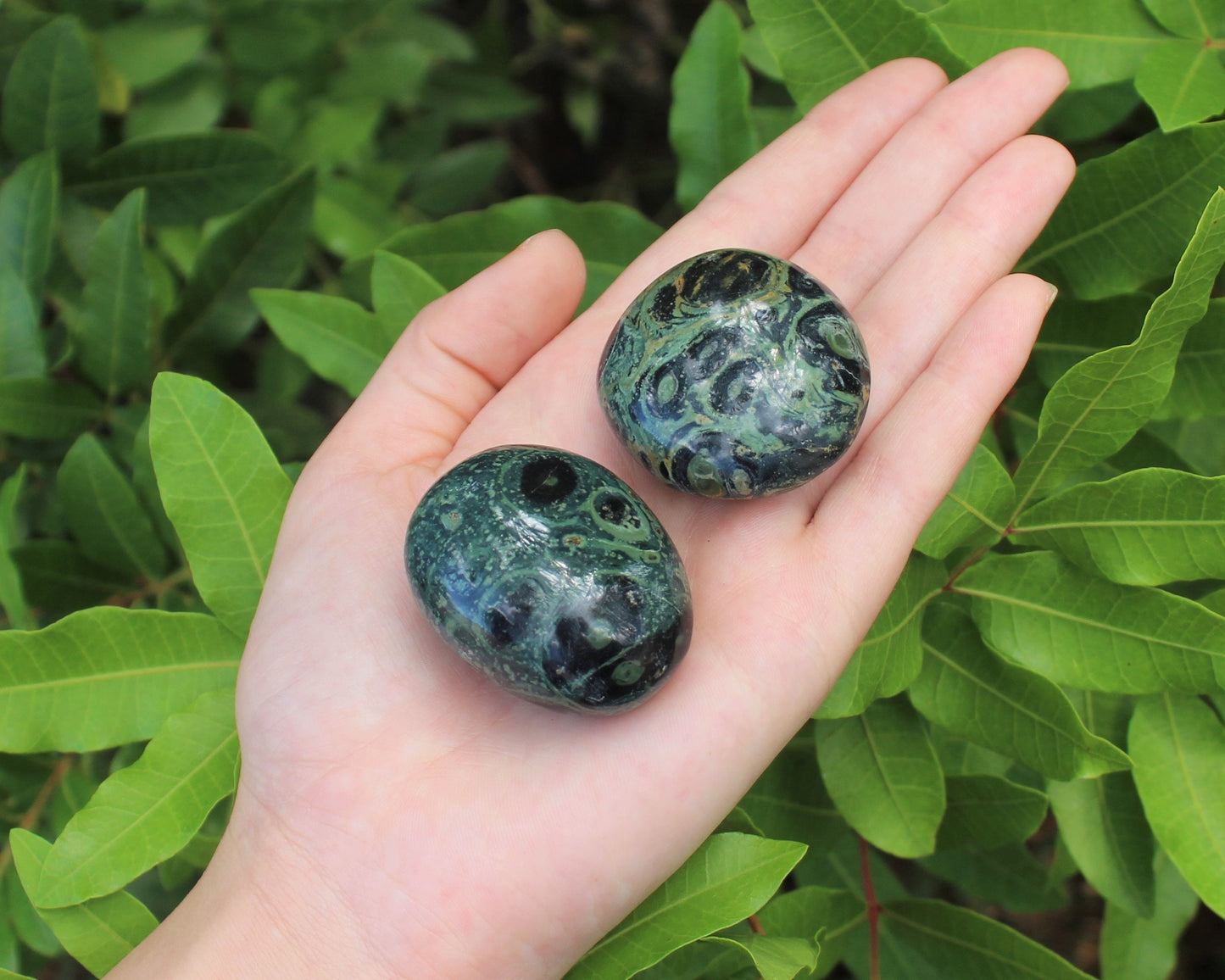 Kambaba Jasper Polished Stones