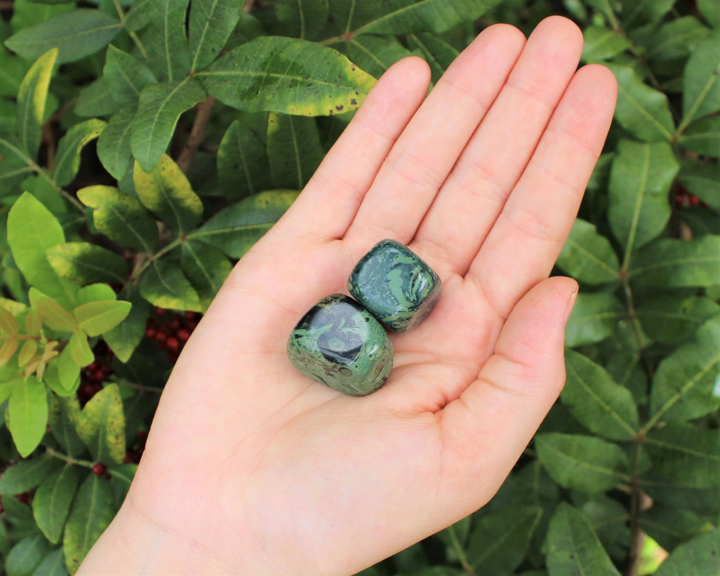 Kambaba Jasper Tumbled Stones
