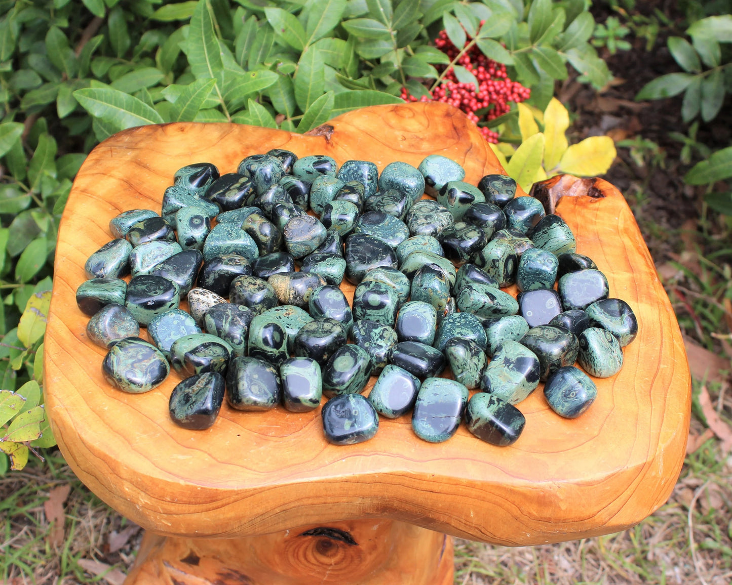 Kambaba Jasper Tumbled Stones