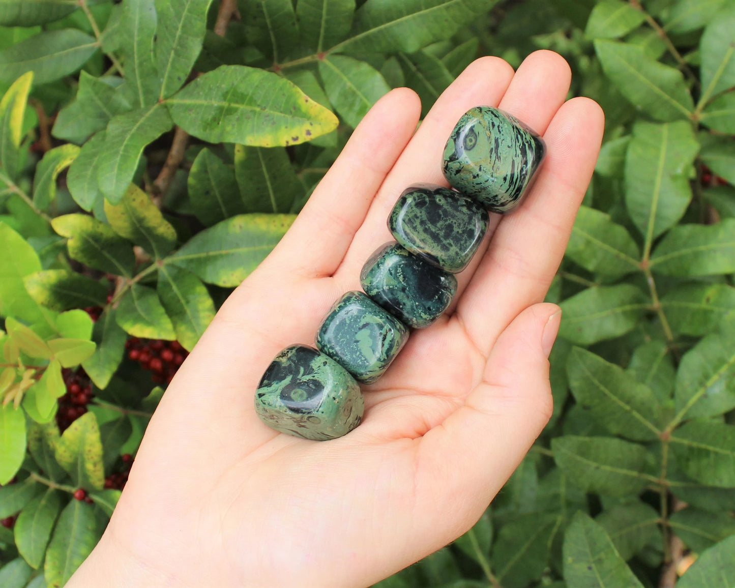 Kambaba Jasper Tumbled Stones