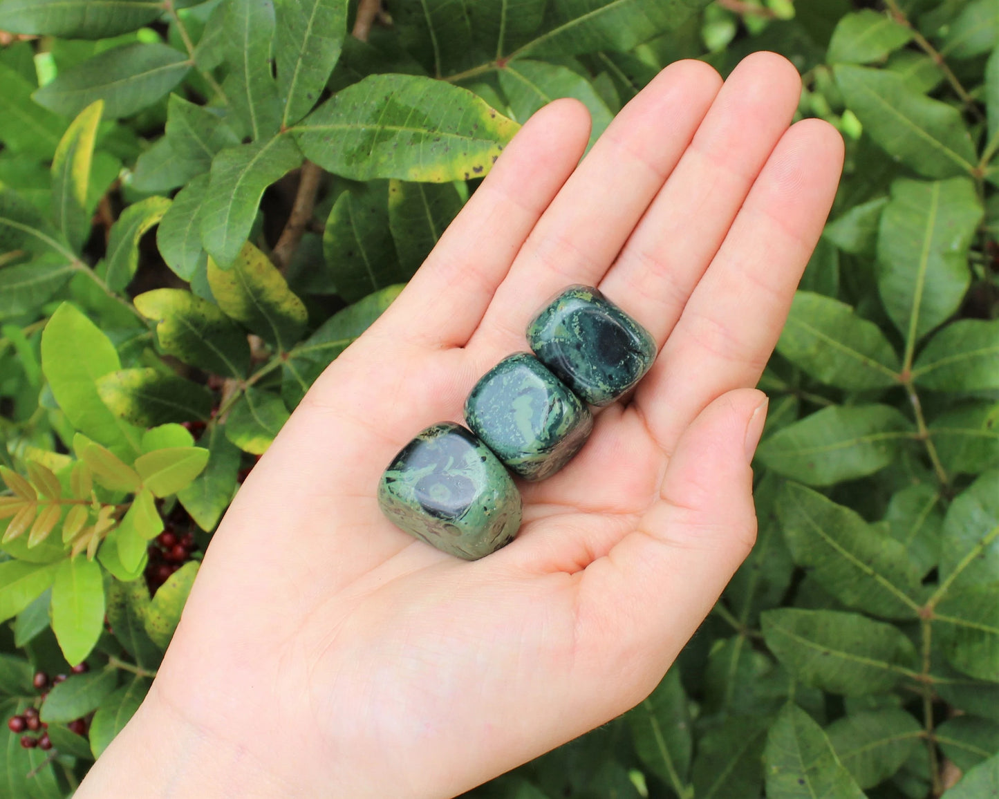 Kambaba Jasper Tumbled Stones