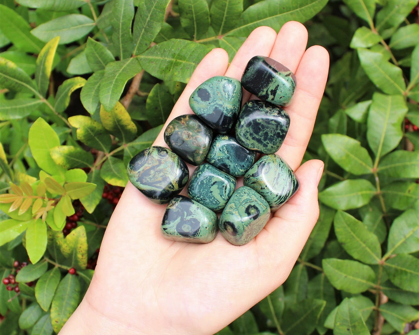 Kambaba Jasper Tumbled Stones