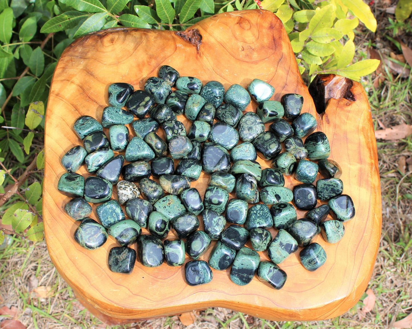 Kambaba Jasper Tumbled Stones