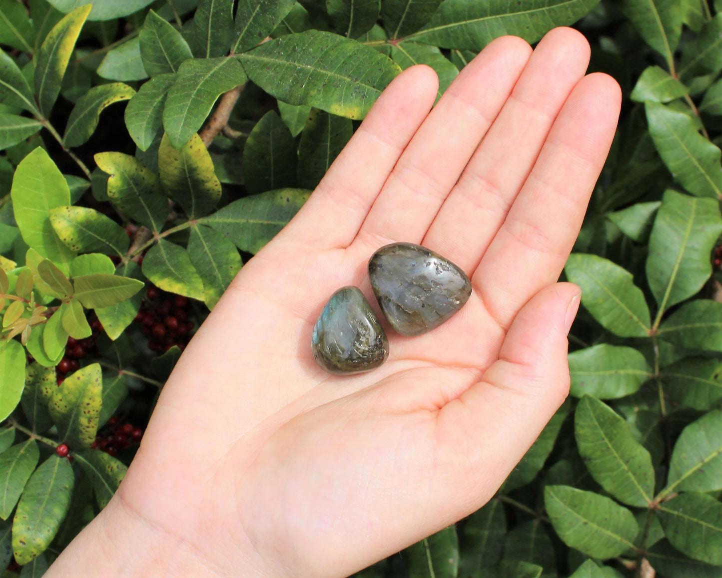 Labradorite Tumbled Stones
