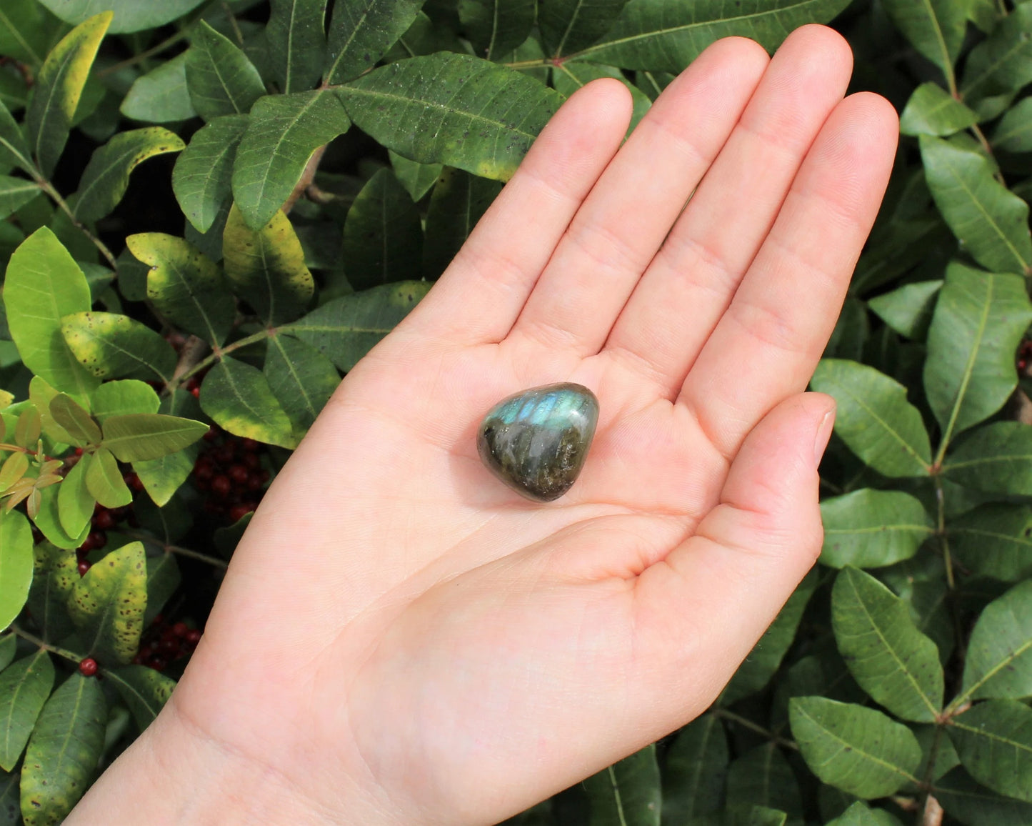 Labradorite Tumbled Stones