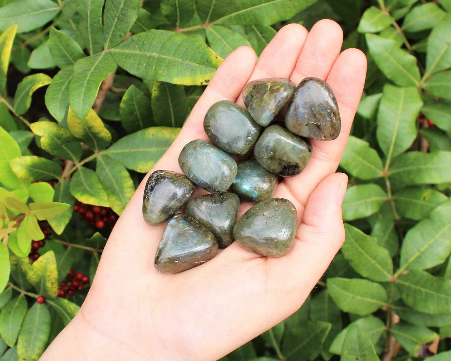 Labradorite Tumbled Stones