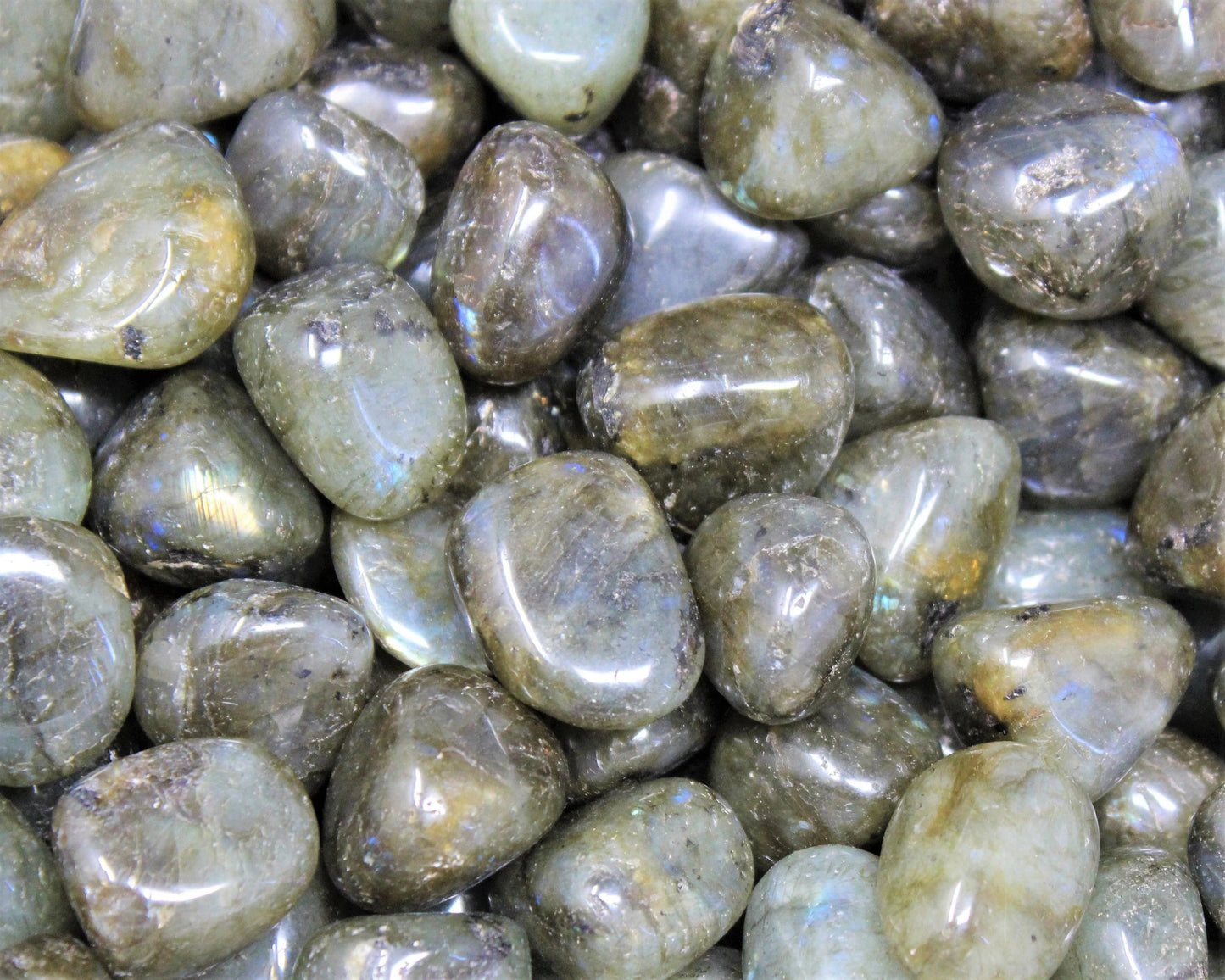 Labradorite Tumbled Stones