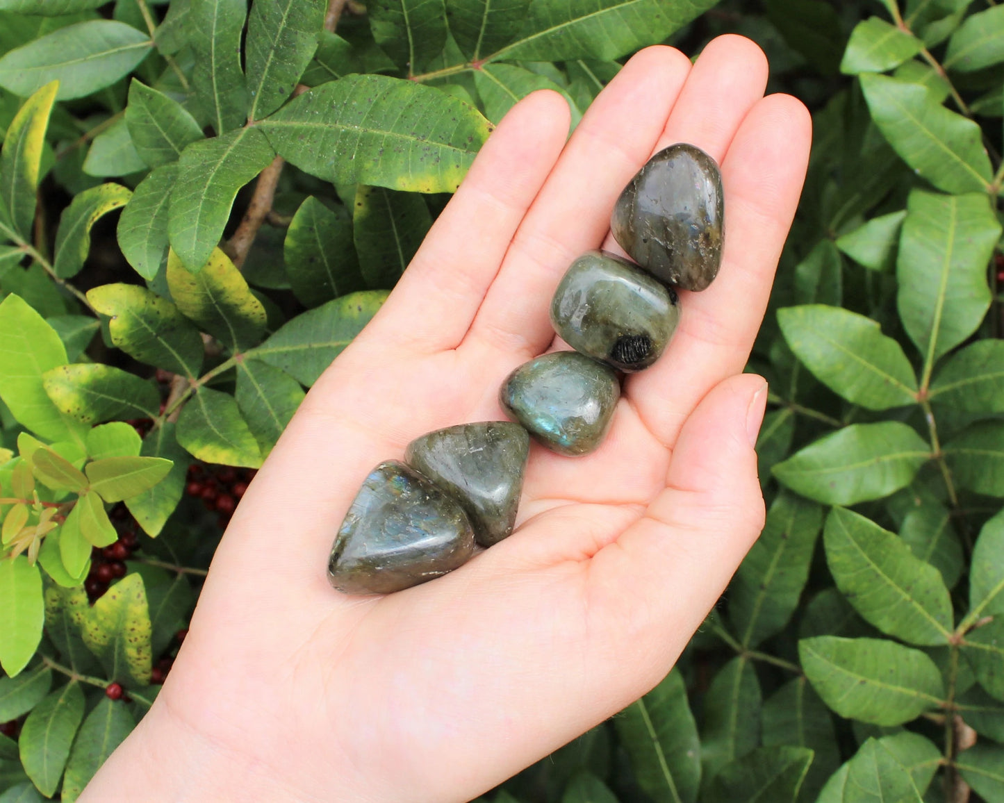 Labradorite Tumbled Stones