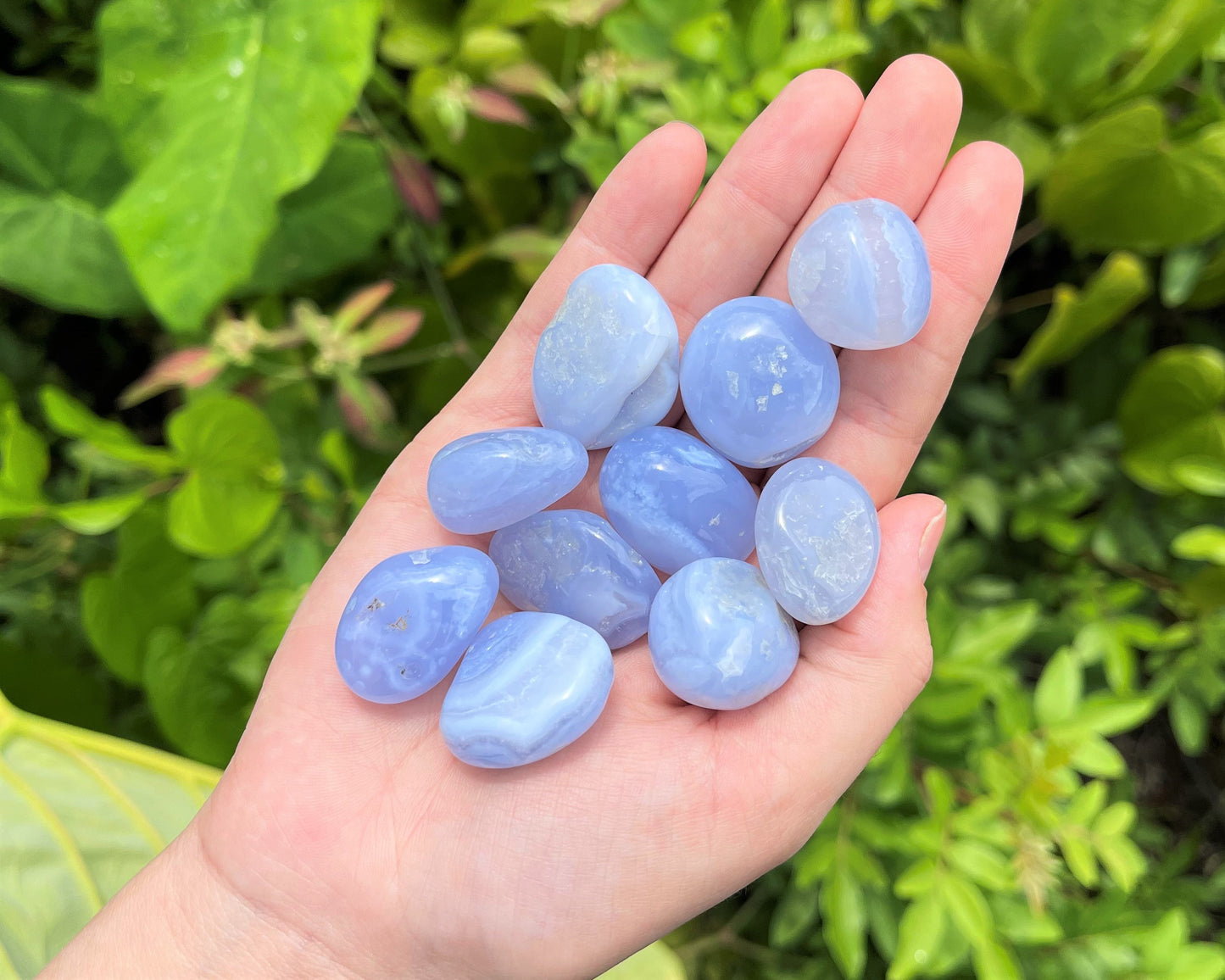 Lace Agate Tumbled Stones