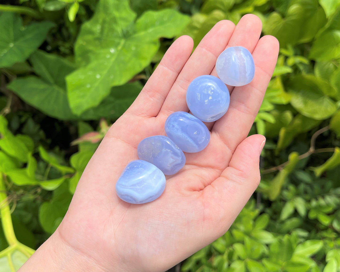 Lace Agate Tumbled Stones