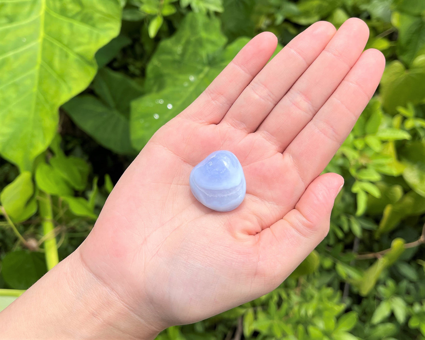 Lace Agate Tumbled Stones