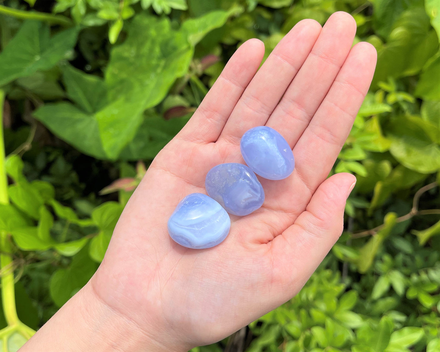 Lace Agate Tumbled Stones