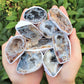 Large Agate Geodes