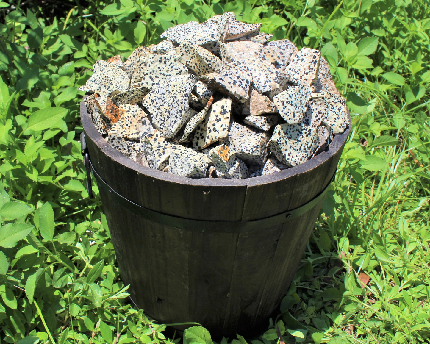 Large Rough Dalmation Jasper Natural Stones