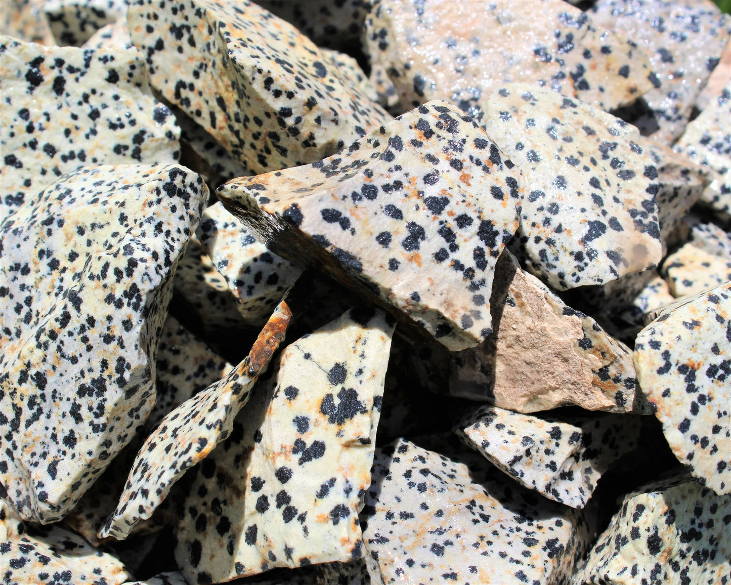 Large Rough Dalmation Jasper Natural Stones