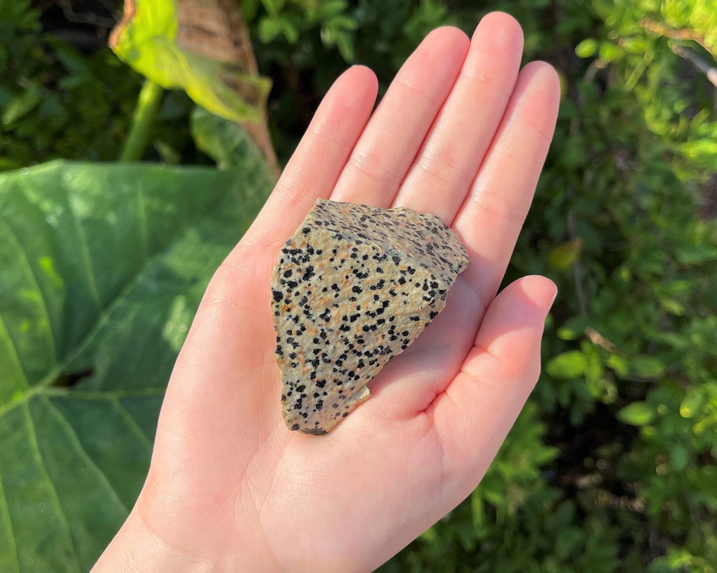 Large Rough Dalmation Jasper Natural Stones