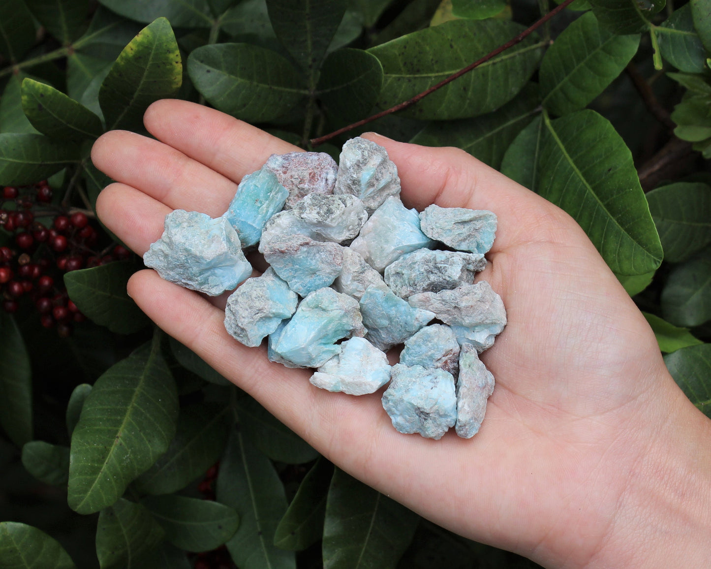 Larimar Rough Natural Chips