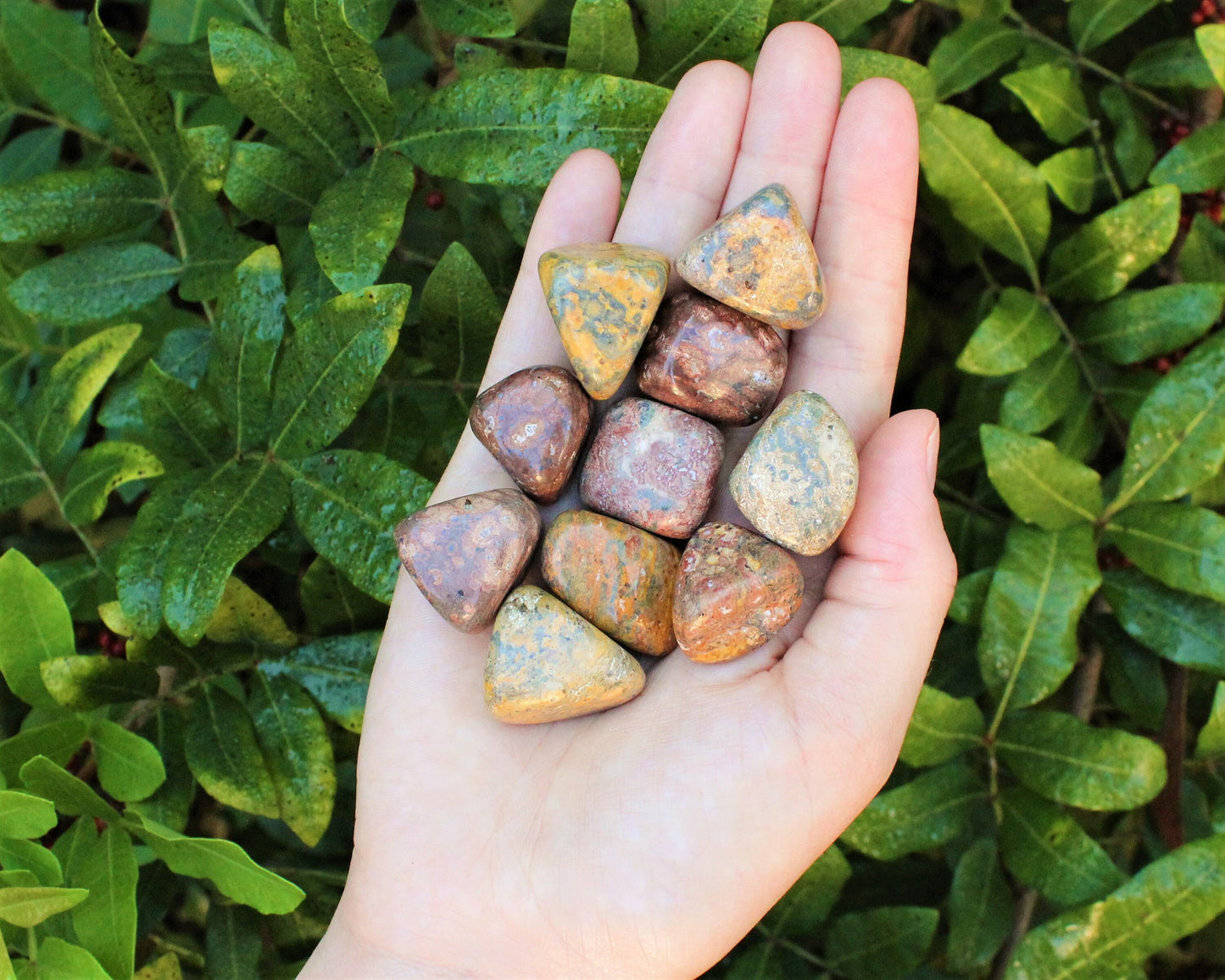 Leopard Jasper Elegant Tumbled Stones