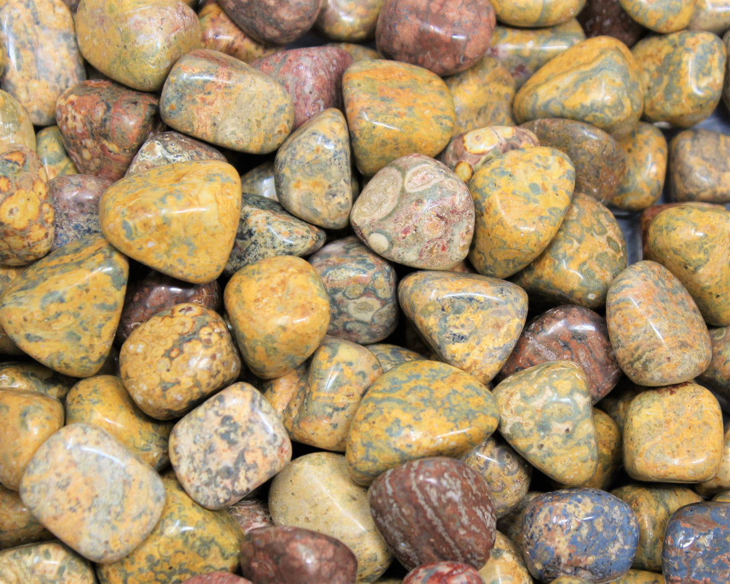 Leopard Jasper Elegant Tumbled Stones