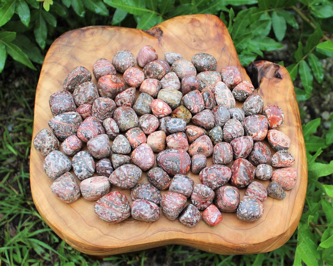 Leopard Jasper Tumbled Stones
