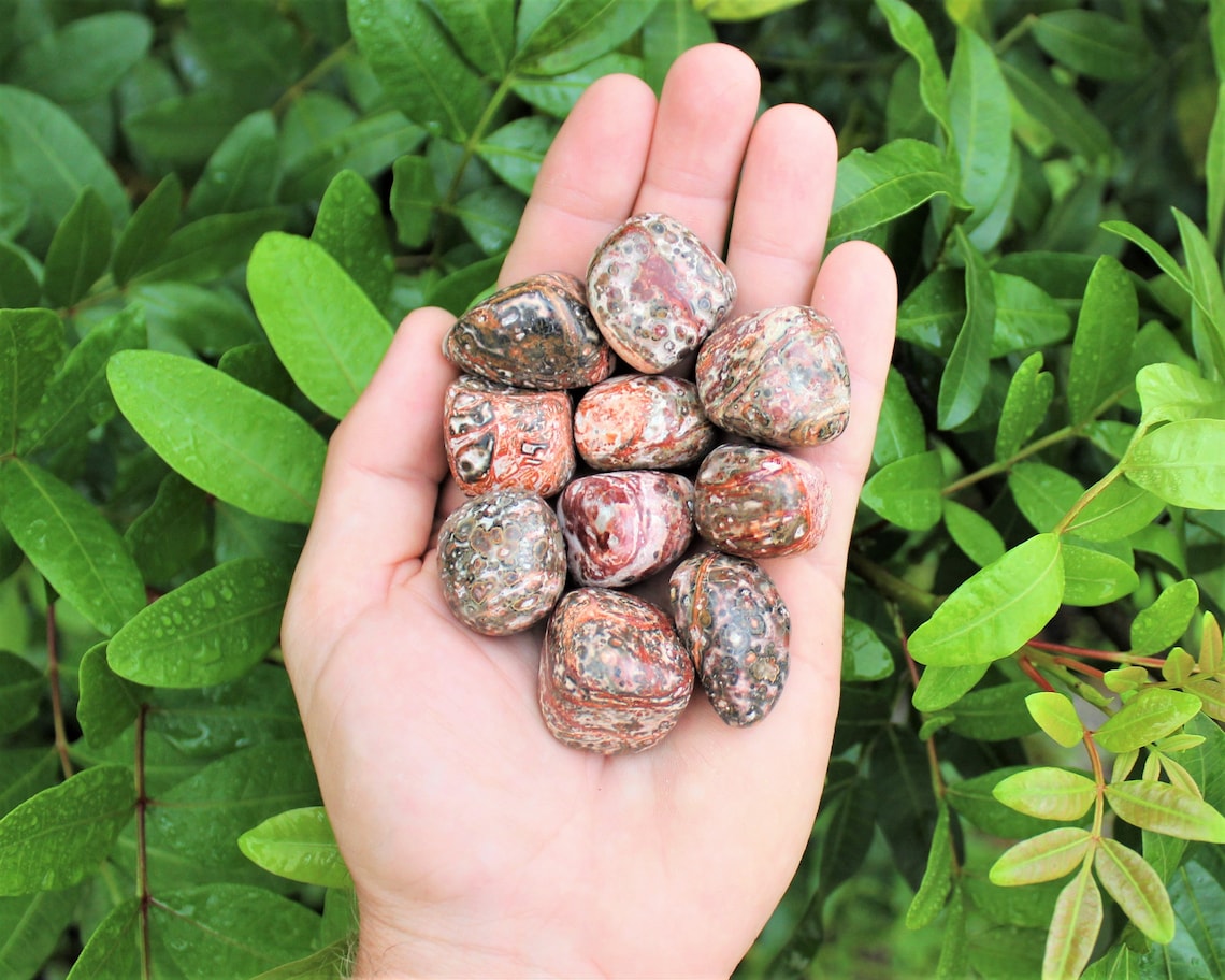 Leopard Jasper Tumbled Stones