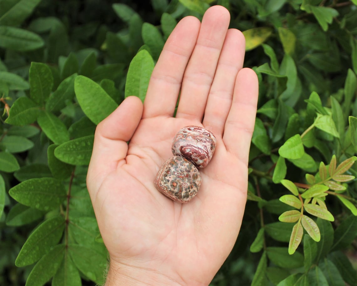 Leopard Jasper Tumbled Stones