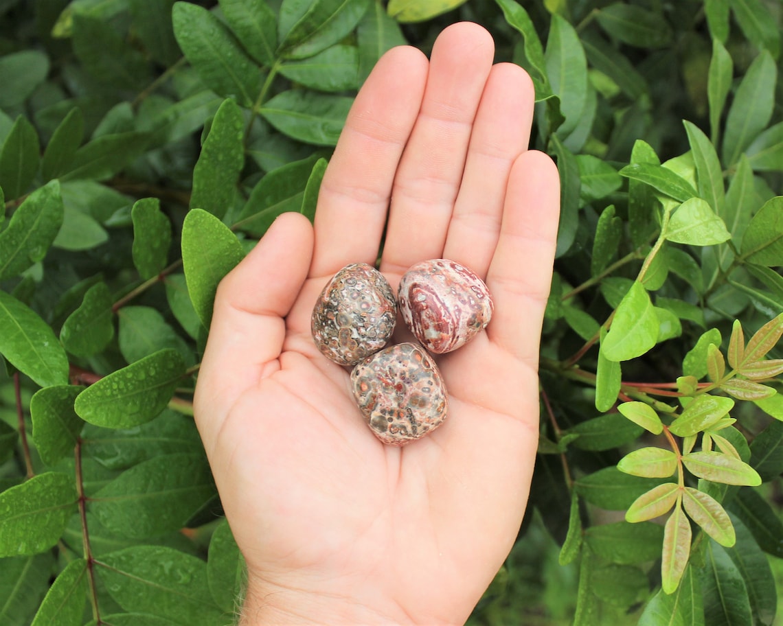 Leopard Jasper Tumbled Stones