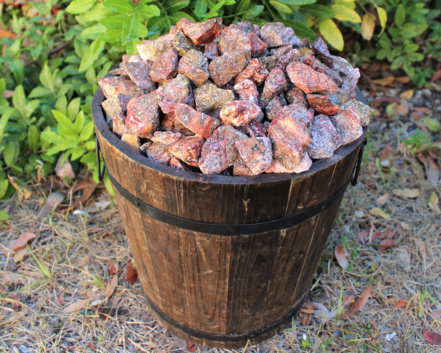 Leopard Pattern Jasper Natural Rough Stones