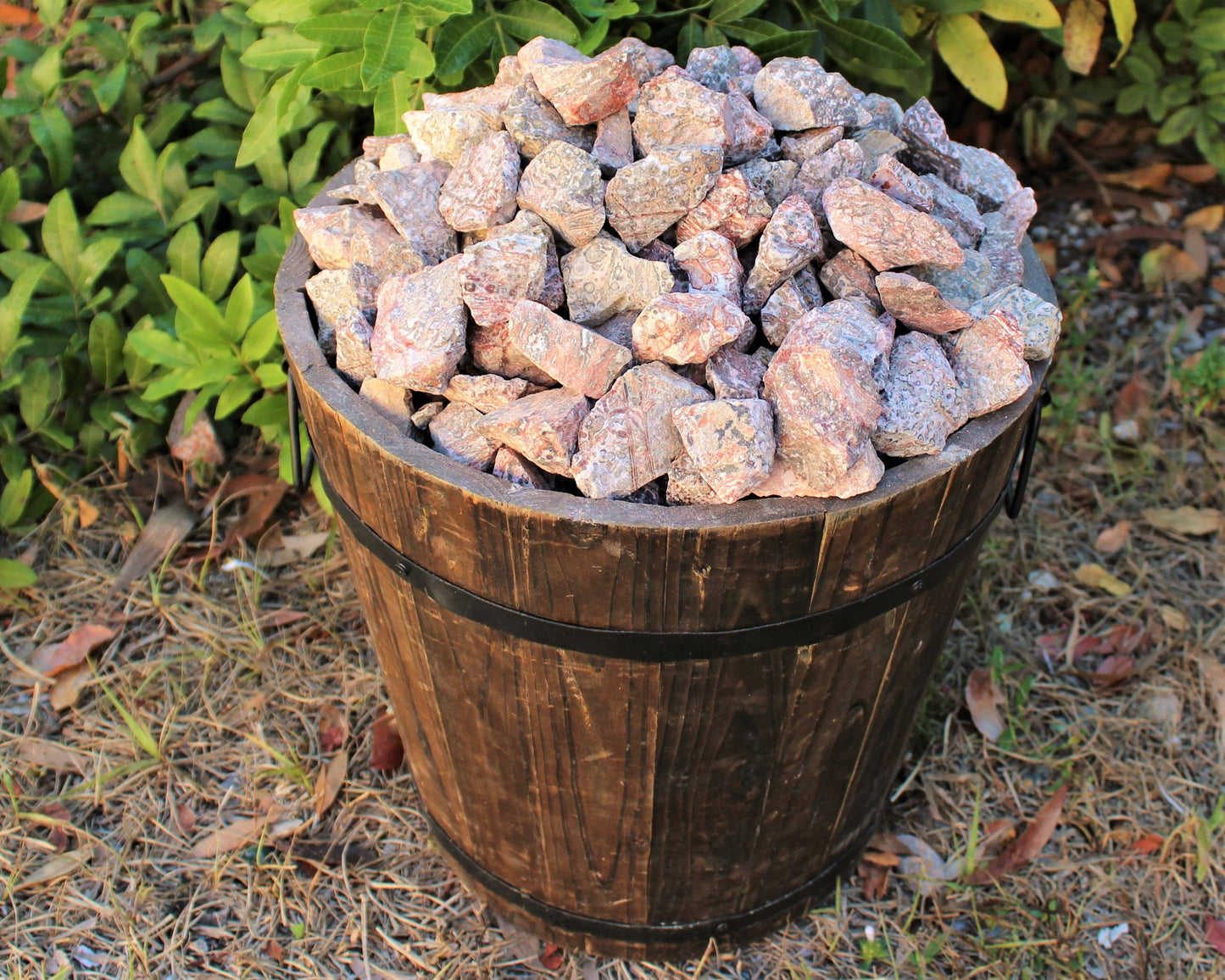 Leopard Pattern Jasper Natural Rough Stones