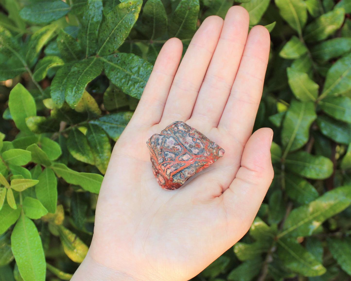 Leopard Pattern Jasper Natural Rough Stones