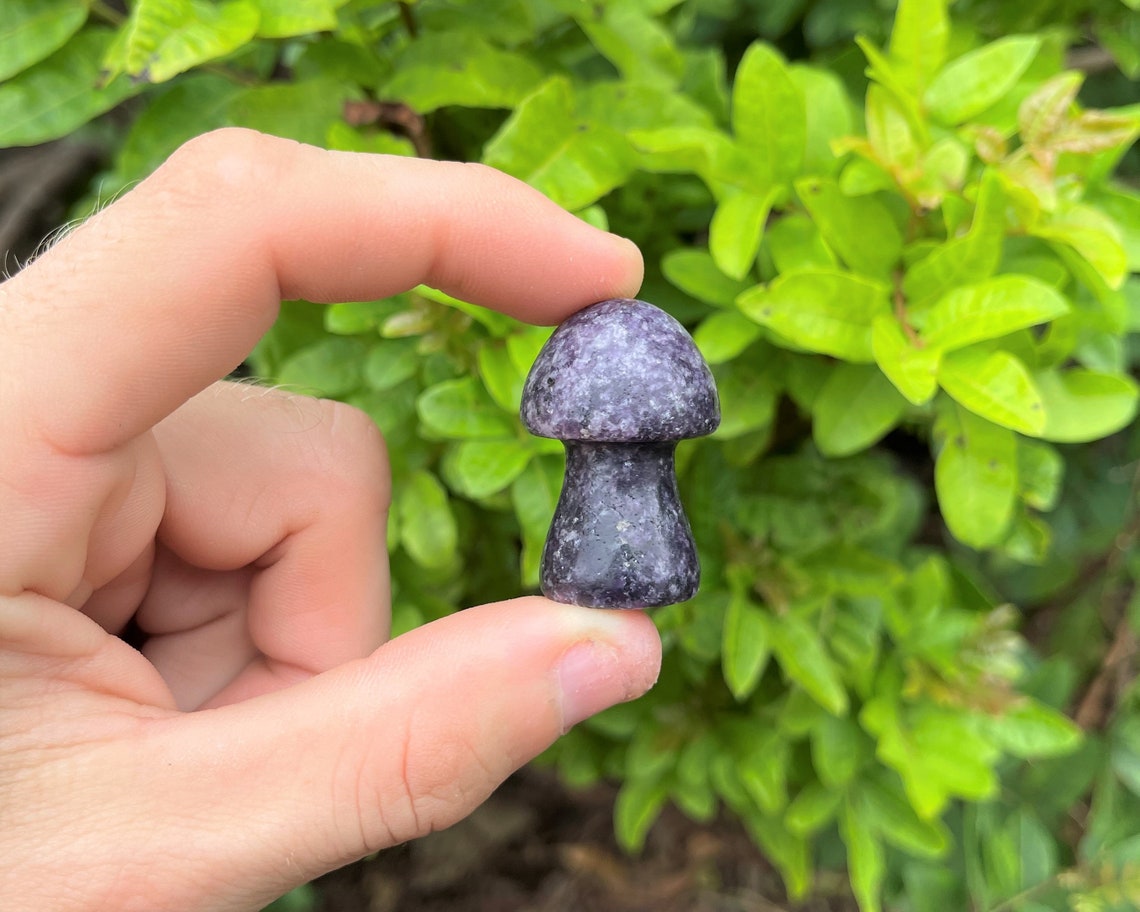 Lepidolite Crystal Mushrooms