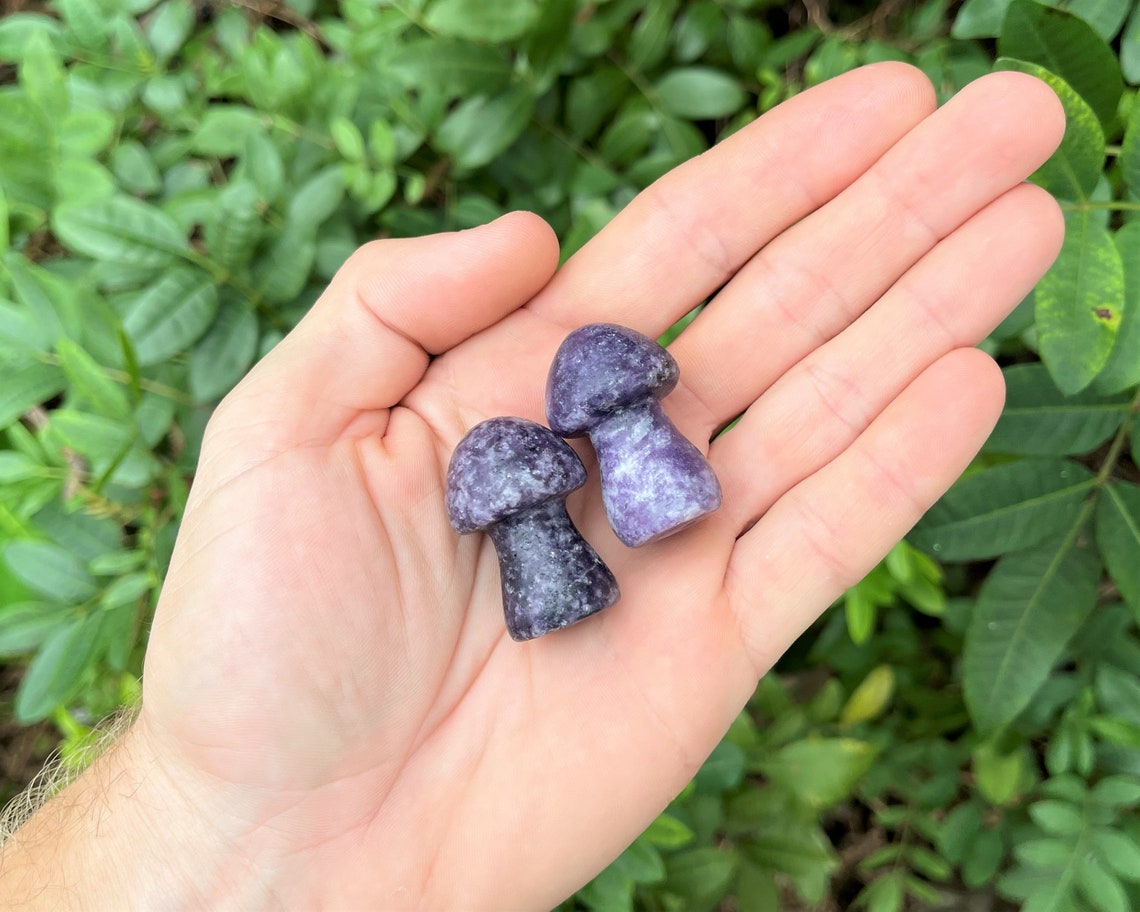 Lepidolite Crystal Mushrooms