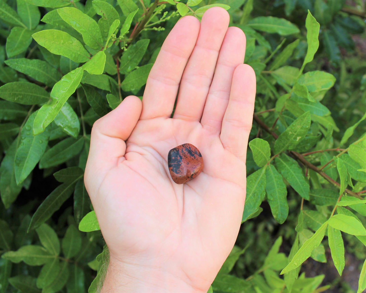 Mahogany Obsidian Tumbled Stones