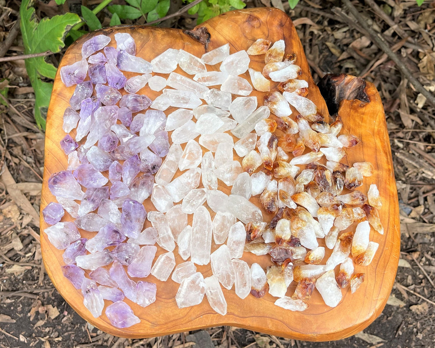 Mixed Amethyst Citrine And Clear Quartz Crystal Points