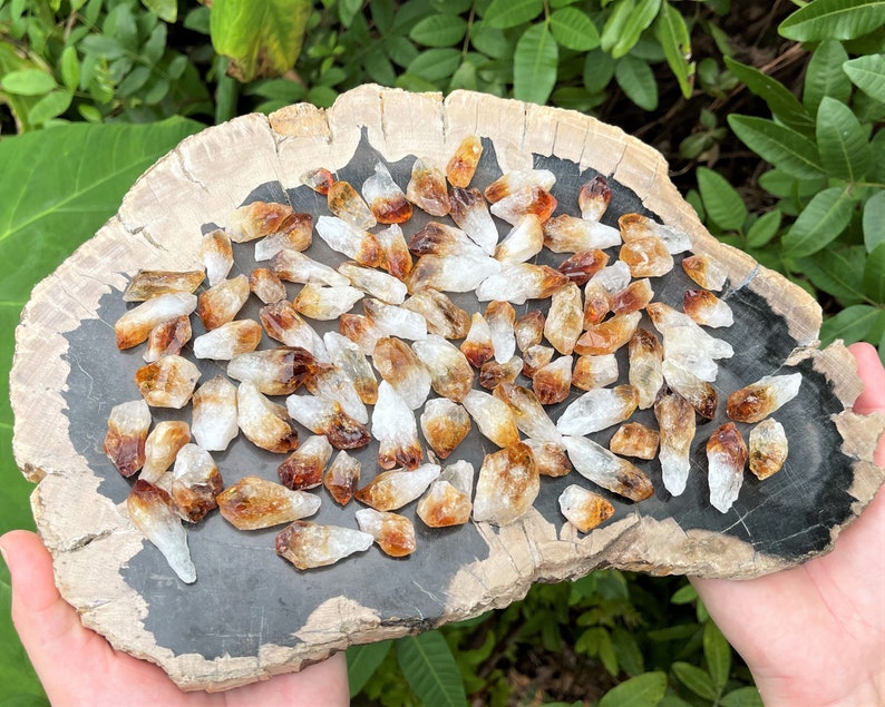 Mixed Amethyst Citrine And Clear Quartz Crystal Points