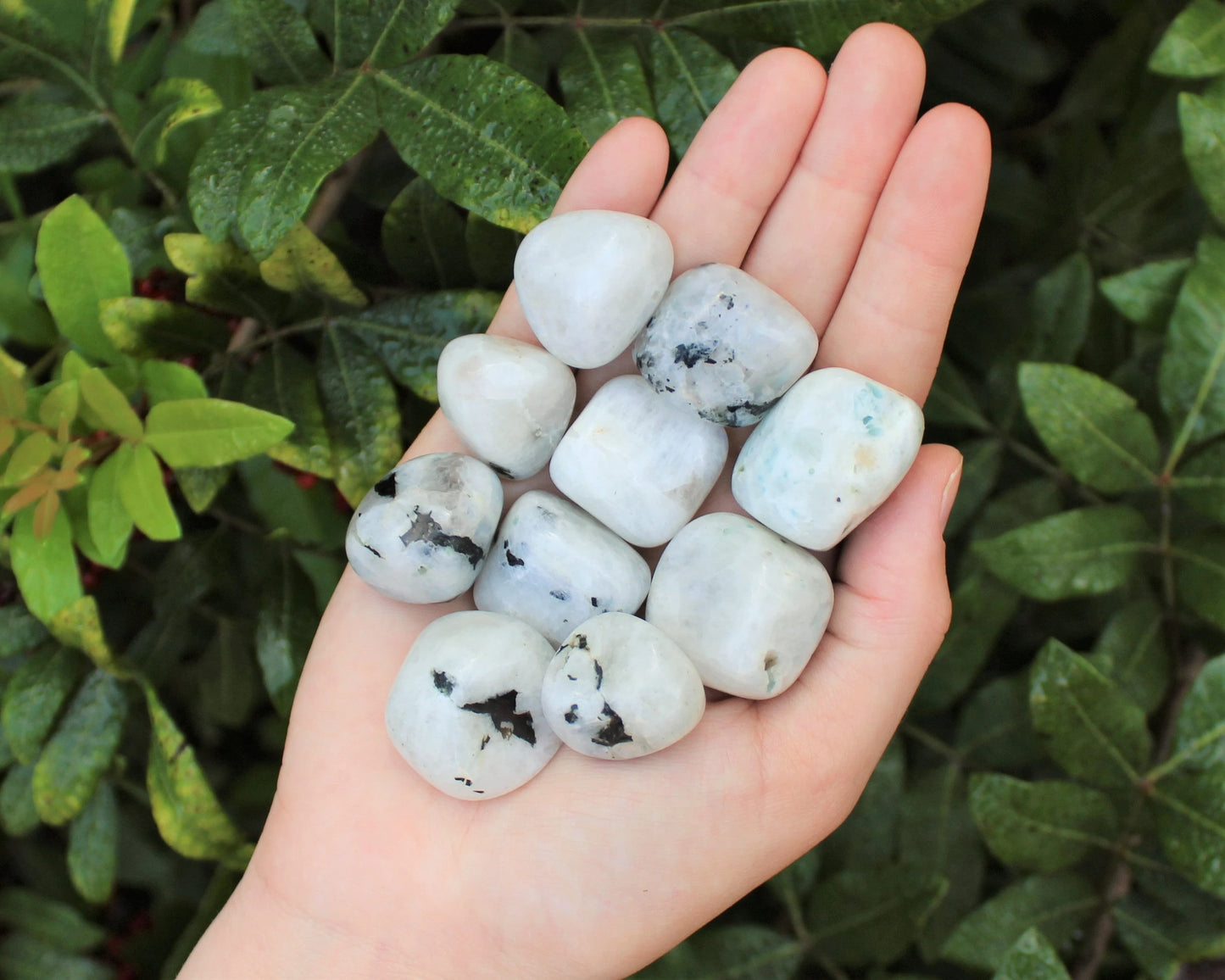 Moonstone Tumbled Premium Grade Stones