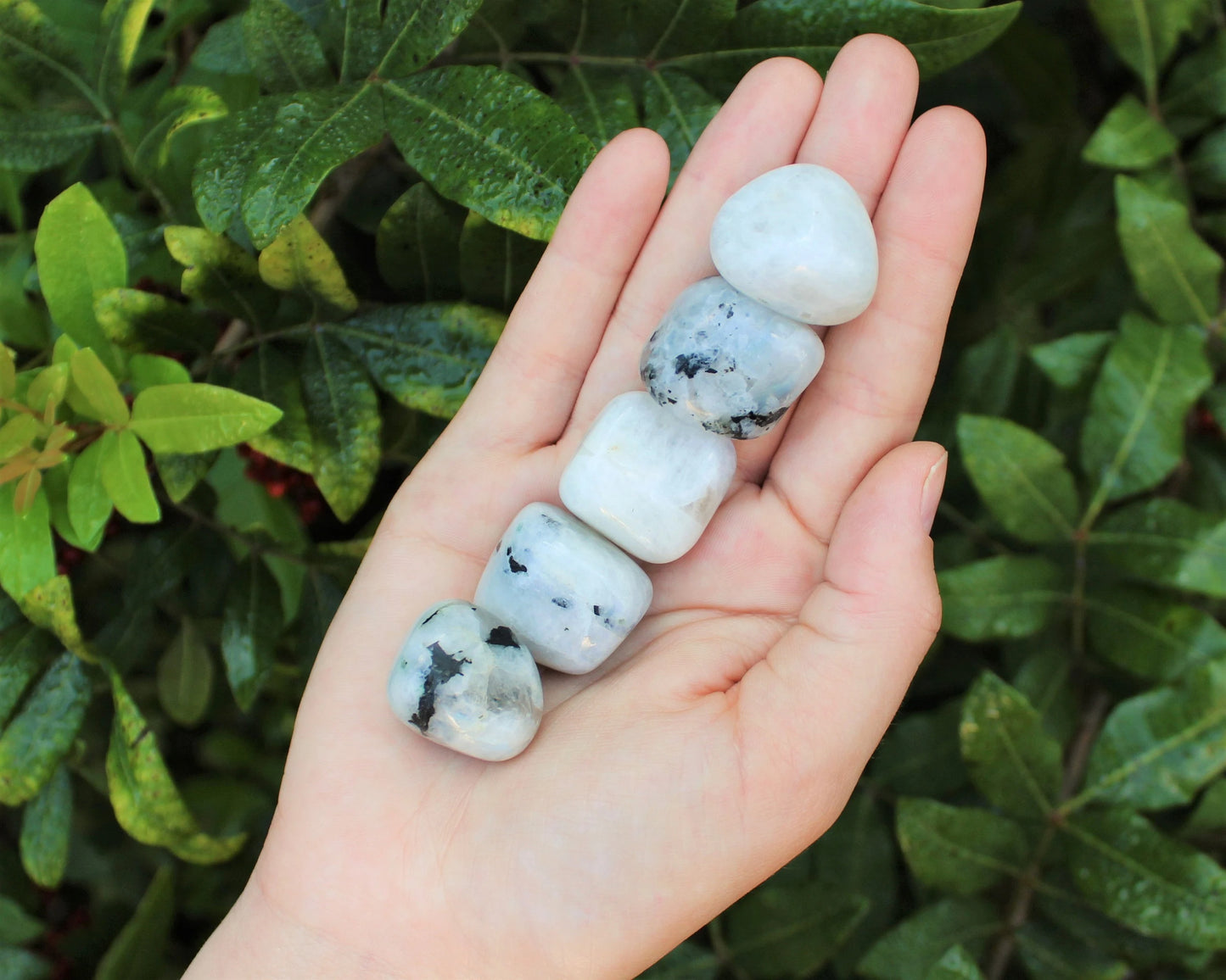 Moonstone Tumbled Premium Grade Stones