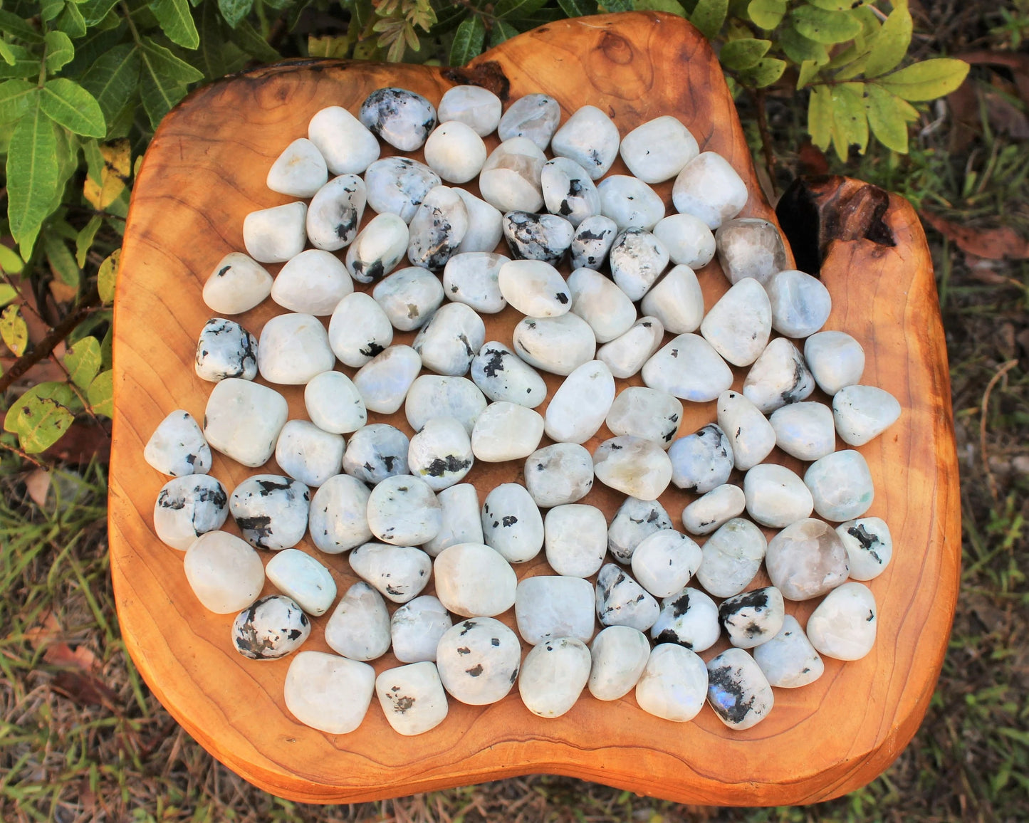 Moonstone Tumbled Premium Grade Stones