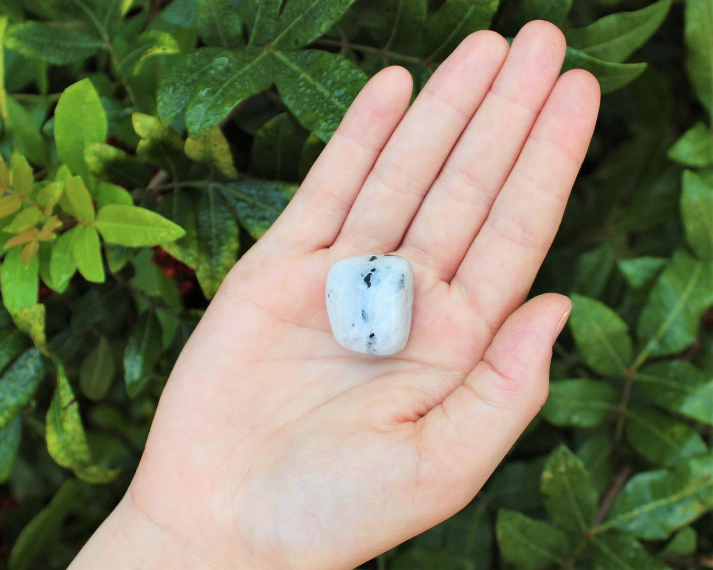 Moonstone Tumbled Premium Grade Stones