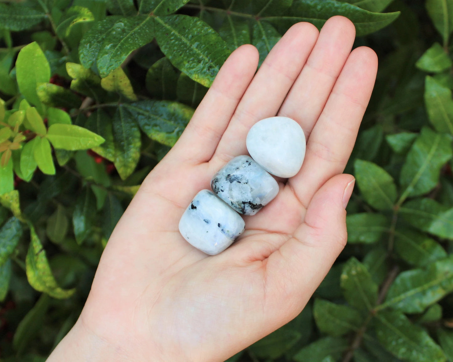 Moonstone Tumbled Premium Grade Stones