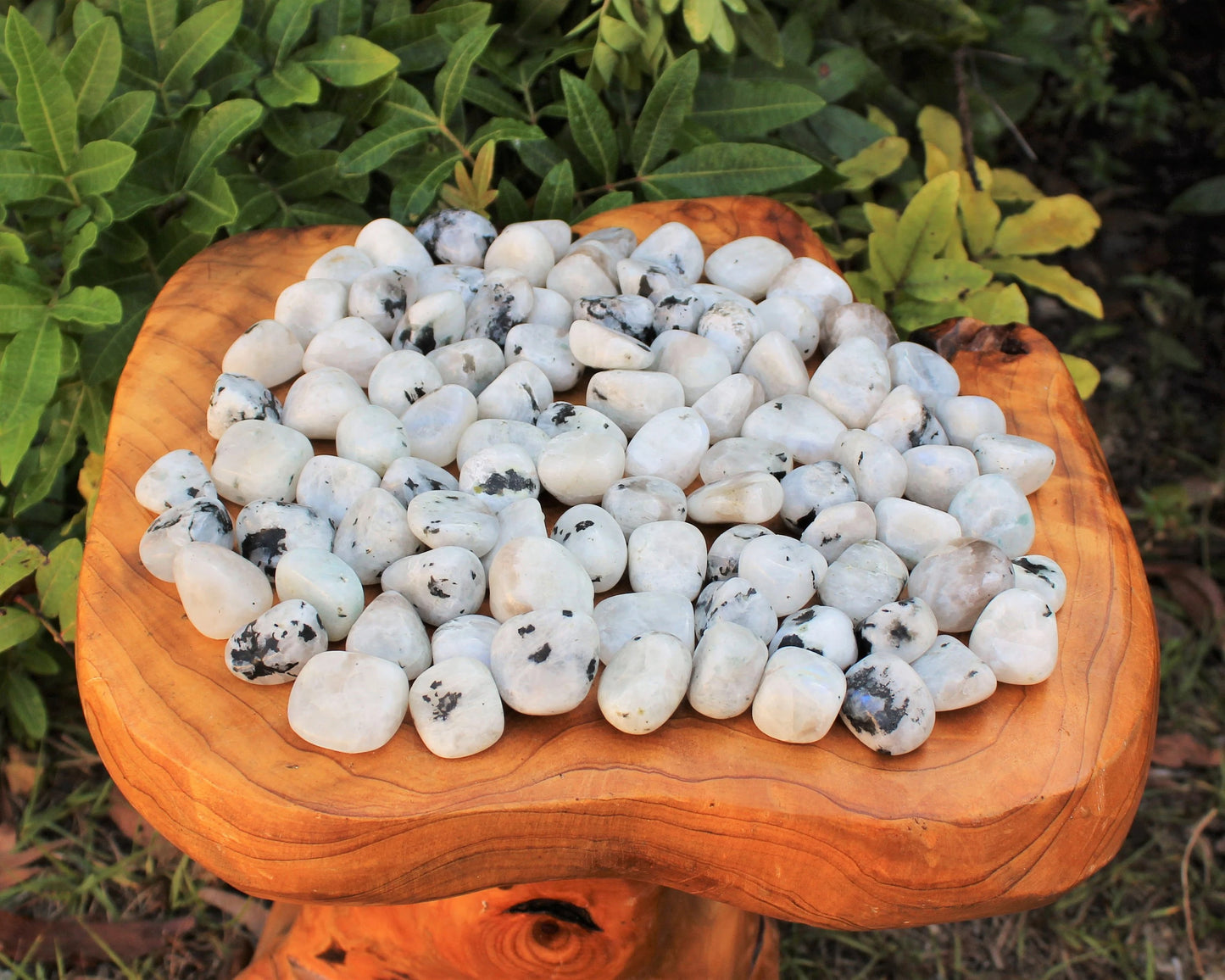 Moonstone Tumbled Premium Grade Stones